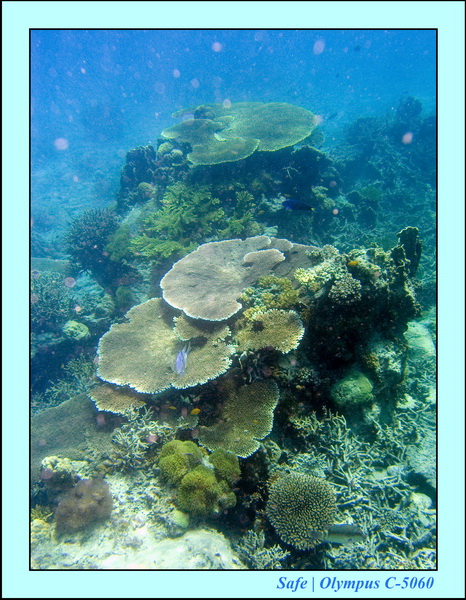 2008 - 07 - Leng Tengah - 085